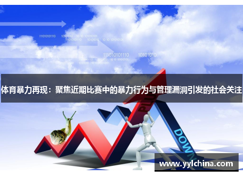 体育暴力再现：聚焦近期比赛中的暴力行为与管理漏洞引发的社会关注
