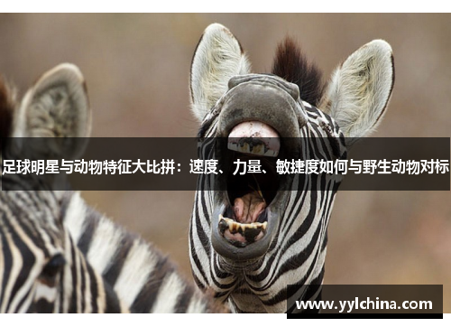 足球明星与动物特征大比拼：速度、力量、敏捷度如何与野生动物对标