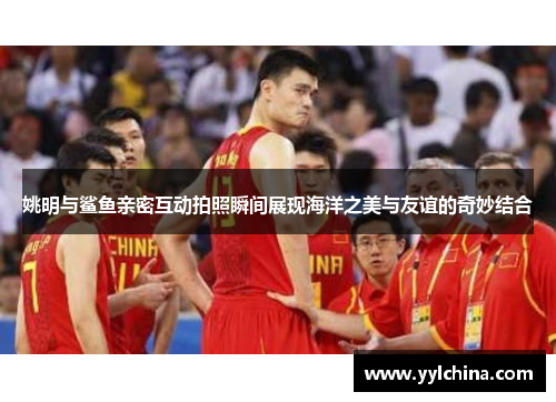 姚明与鲨鱼亲密互动拍照瞬间展现海洋之美与友谊的奇妙结合